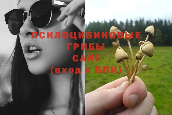 СК Алзамай
