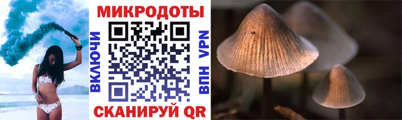 ОМГ ОМГ как войти  Шумиха  Псилоцибиновые грибы прущие грибы 